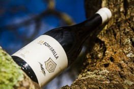 La añada 2018 de los vinos de pago, afinándose en las botellas